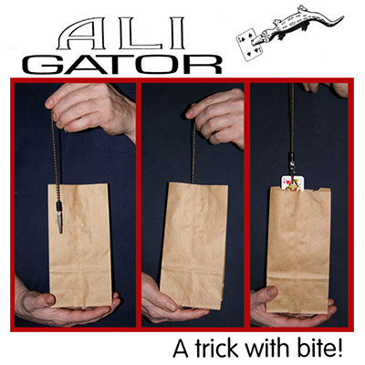 Ali Gator - Chazpro