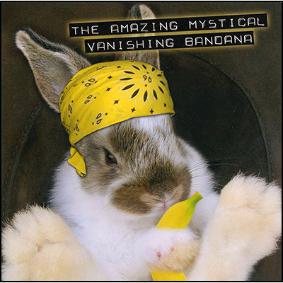 Amazing Mystical Vanishing Bandana (Standard Version) - Robert Haas & Magic Enhancer