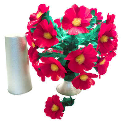 25 Bloom Botania