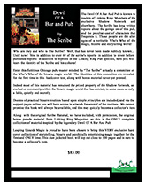 Devil of a Bar and Pub Flyer Thumbnail