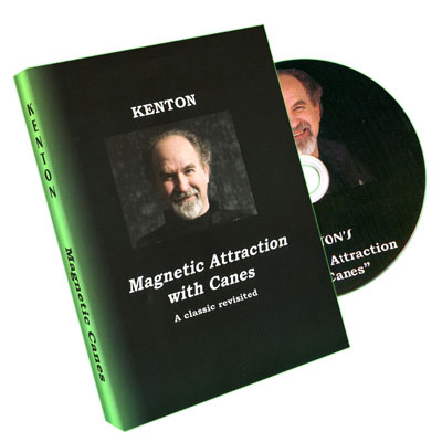 Magnetic Cane