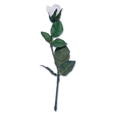 Instant Rose Creation