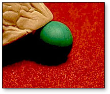 Magic shop Magic trick URL