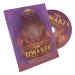 The Dwarfs  Stefan Olschewski