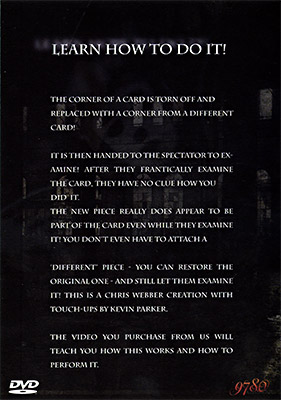 Additional Image 1