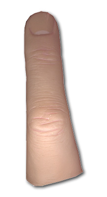 Additional Image 1