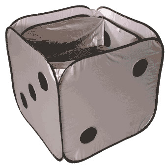 Additional Image 1