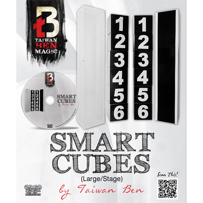 Smart Cubes (Large / Stage) - Taiwan Ben