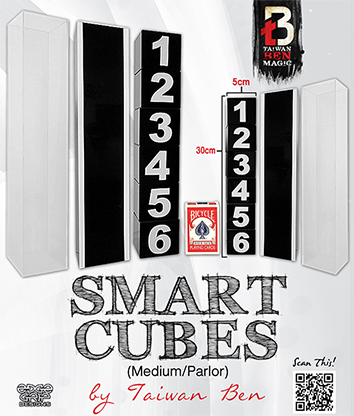 Smart Cubes (Medium / Parlor) - Taiwan Ben