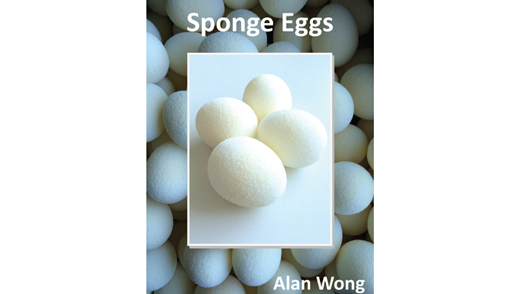 Sponge Eggs (4pk) - Alan Wong