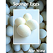 Sponge Eggs (4pk) - Alan Wong
