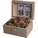 Real Egg (Brown) - Gianfranco Ermini & Stratomagic