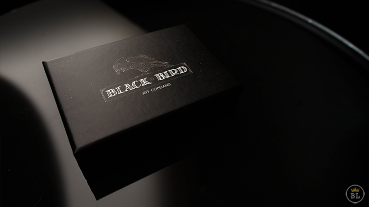 Blackbird (Accesorio & Instrucciones Online) - Jeff Copeland