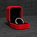 Neomagnetic Ring (22mm) - Leo Smetsers