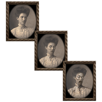 Changing Portrait - Aunt Eleanor... MagicWorld Magic Shop