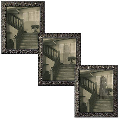 Changing Portrait - Mother's Revenge... MagicWorld Magic Shop