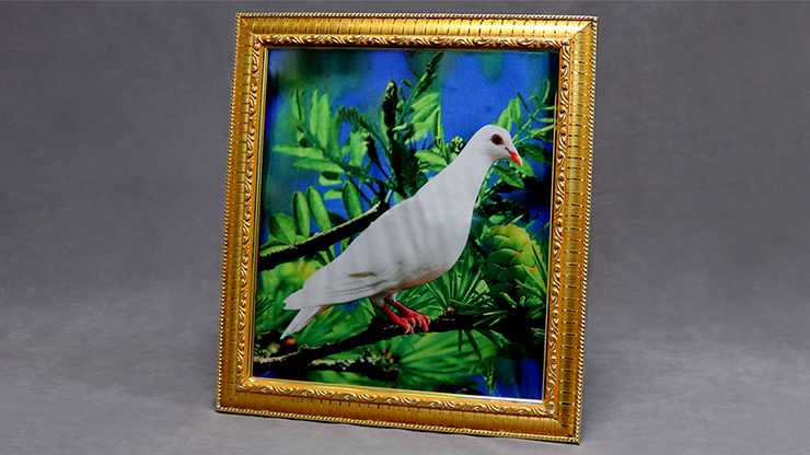 Dove Frame (Photo) - Mr. Magic