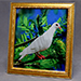 Dove Frame (Photo) - Mr. Magic