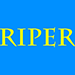 RIPER BY KELVIN TRINH VIDEO DOWNLOAD