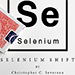 SELENIUM SHIFT BY CHRIS SEVERSON AND SHIN LIM PRESENTS VIDEO DOWNLOAD