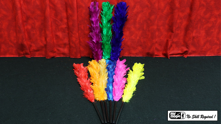 Color Changing Feather - Large (9) - Mr. Magic