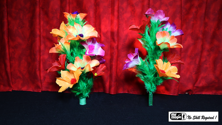 Double Flower Bouquet - Mr. Magic