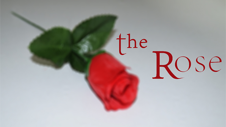 The Rose - Sandro Loporcaro (Amazo) - Video Descarga