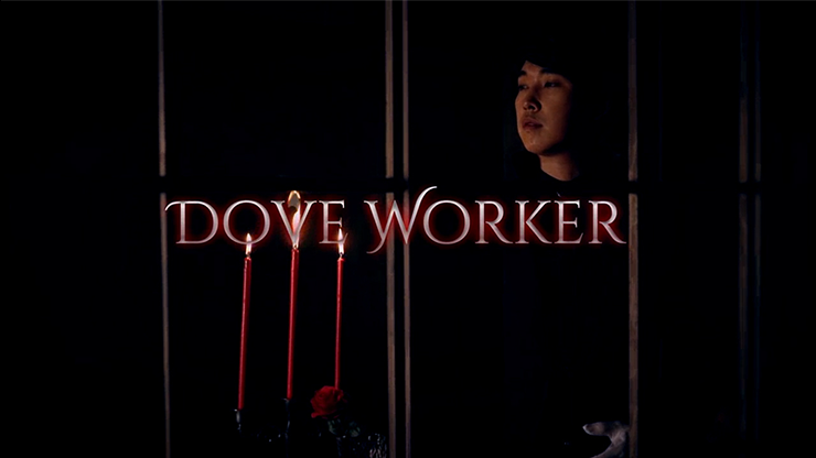 Dove Worker by CY - DVD MagicWorld Magic Shop