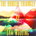 THE BROKEN TRIANGLE BY SAM WOODING EBOOK DOWNLOAD