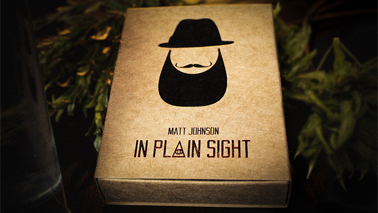 In Plain Sight (Accesorio e Instrucciones Online) & Matt Johnson