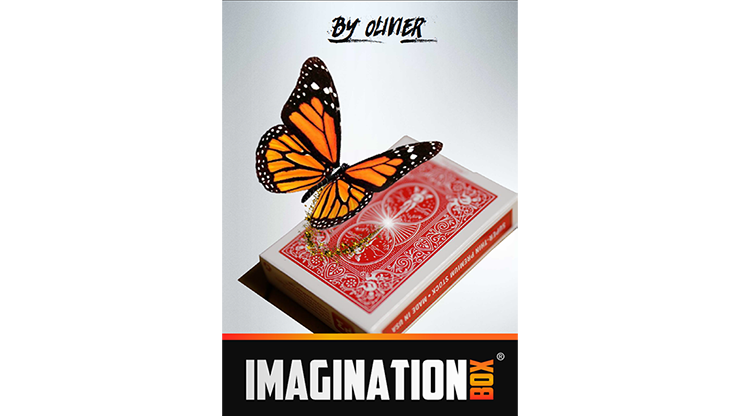 Imagination Box - Olivier Pont