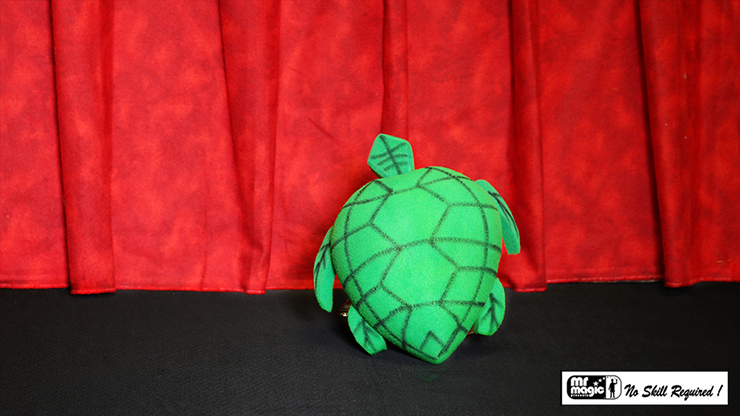 Egg to Tortoise (Sponge) - Mr. Magic