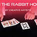 IN THE RABBIT HOLE BY CREATIVE ARTISTS VIDEO DOWNLOAD IN THE RABBIT HOLE BY CREATIVE ARTISTS VIDEO DOWNLOAD