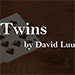 TWINS BY DAVID LUU VIDEO DOWNLOAD