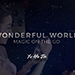 WONDERFUL WORLD BY YU HO JIN - VIDEO DOWNLOAD