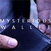 MYSTERIOUS WALLET BY ARNEL RENEGADO VIDEO DOWNLOAD