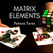 THE VAULT - MATRIX ELEMENTS BY PATRICIO TERÃ¡N VIDEO DOWNLOAD