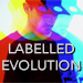 LABELLED EVOLUTION BY BEN WILLIAMS - VIDEO DOWNLOAD