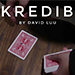 INKREDIBLE BY DAVID LUU VIDEO DOWNLOAD INKREDIBLE BY DAVID LUU VIDEO DOWNLOAD
