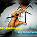STRAWDINARY BY MONOWAR VIDEO DOWNLOAD