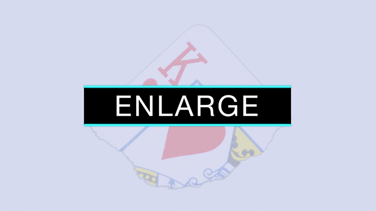 Enlarge ( and Gimmicks) - SansMinds