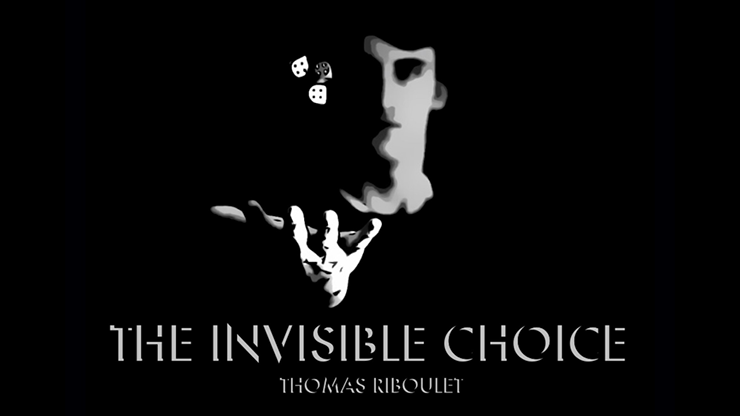 The Invisible Choice - Thomas Riboulet  Book