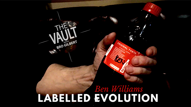 The Vault  Labelled Evolution - Ben Williams video DOWNLOAD