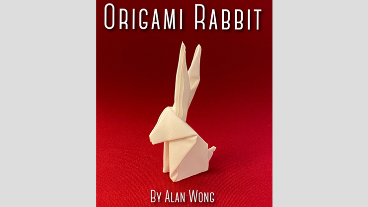 Origami Rabbit - Alan Wong