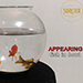 APPEARING FISH IN BOWL - Sorcier Magic