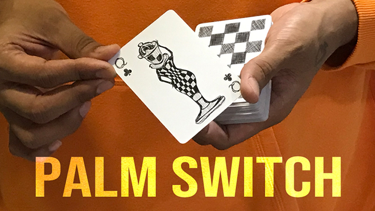 Magic Encarta Presents Palm Switch & Palm Control - Vivek Singhi