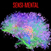 Sensi Mental  - Marc Salem & Richard Mark  Book
