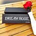 Dream Rose - JL Magic