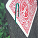 DETECT CLIP BY AGUSTIN VIDEO DOWNLOAD DETECT CLIP BY AGUSTIN VIDEO DOWNLOAD