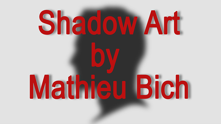 Shadow Art (Bat Man) - Mathieu Bich